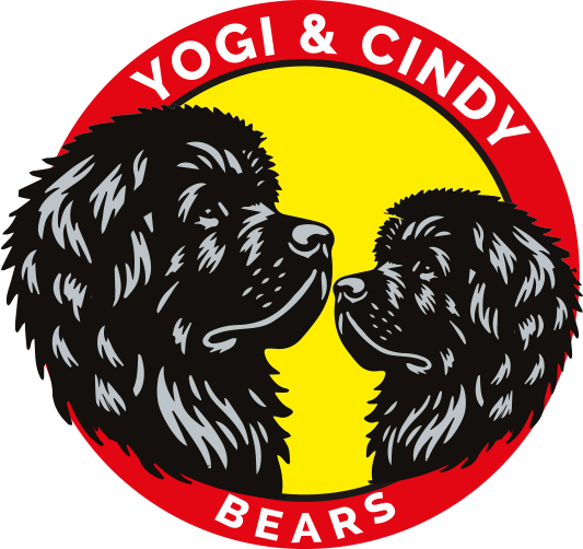 Yogi and Cindy Bears are a team of Newfoundland dogs