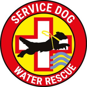 Water Rescue Service Dogs Aberdeen